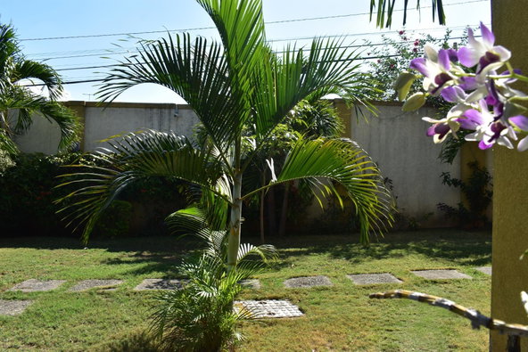 Thirtieth image of 23-7 Liguanea Avenue, Kingston in Kingston 6, St. Andrew, Jamaica - property is For Rent