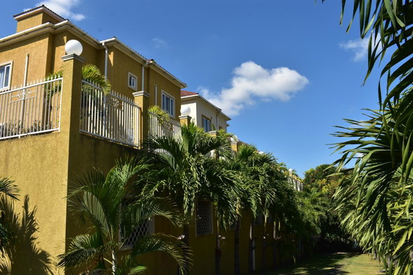 First image of 23-7 Liguanea Avenue, Kingston in Kingston 6, St. Andrew, Jamaica - property is For Rent