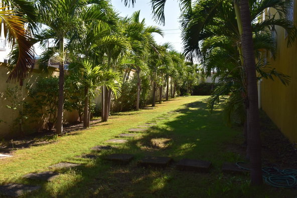 Second image of 23-7 Liguanea Avenue, Kingston in Kingston 6, St. Andrew, Jamaica - property is For Rent