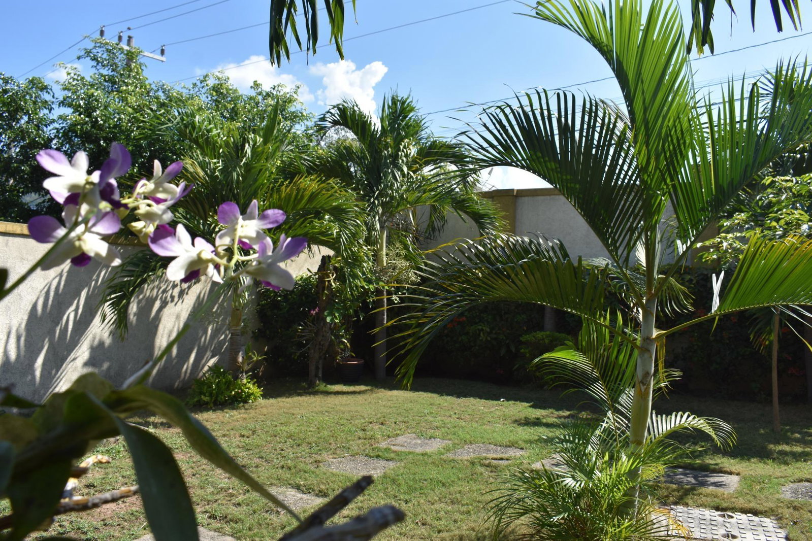 Fourth image of 23-7 Liguanea Avenue, Kingston in Kingston 6, St. Andrew, Jamaica - property is For Rent