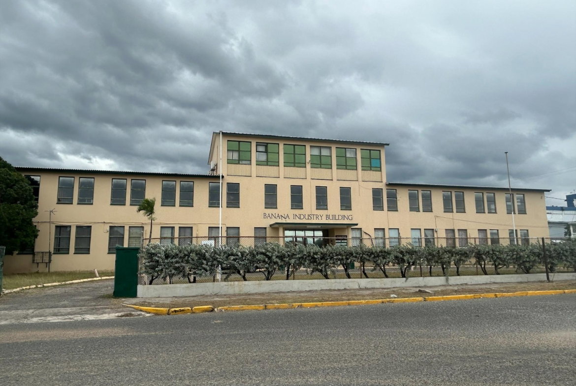 Second image of 3-10 South Avenue in Kingston 4, Kingston, Jamaica - property is For Rent