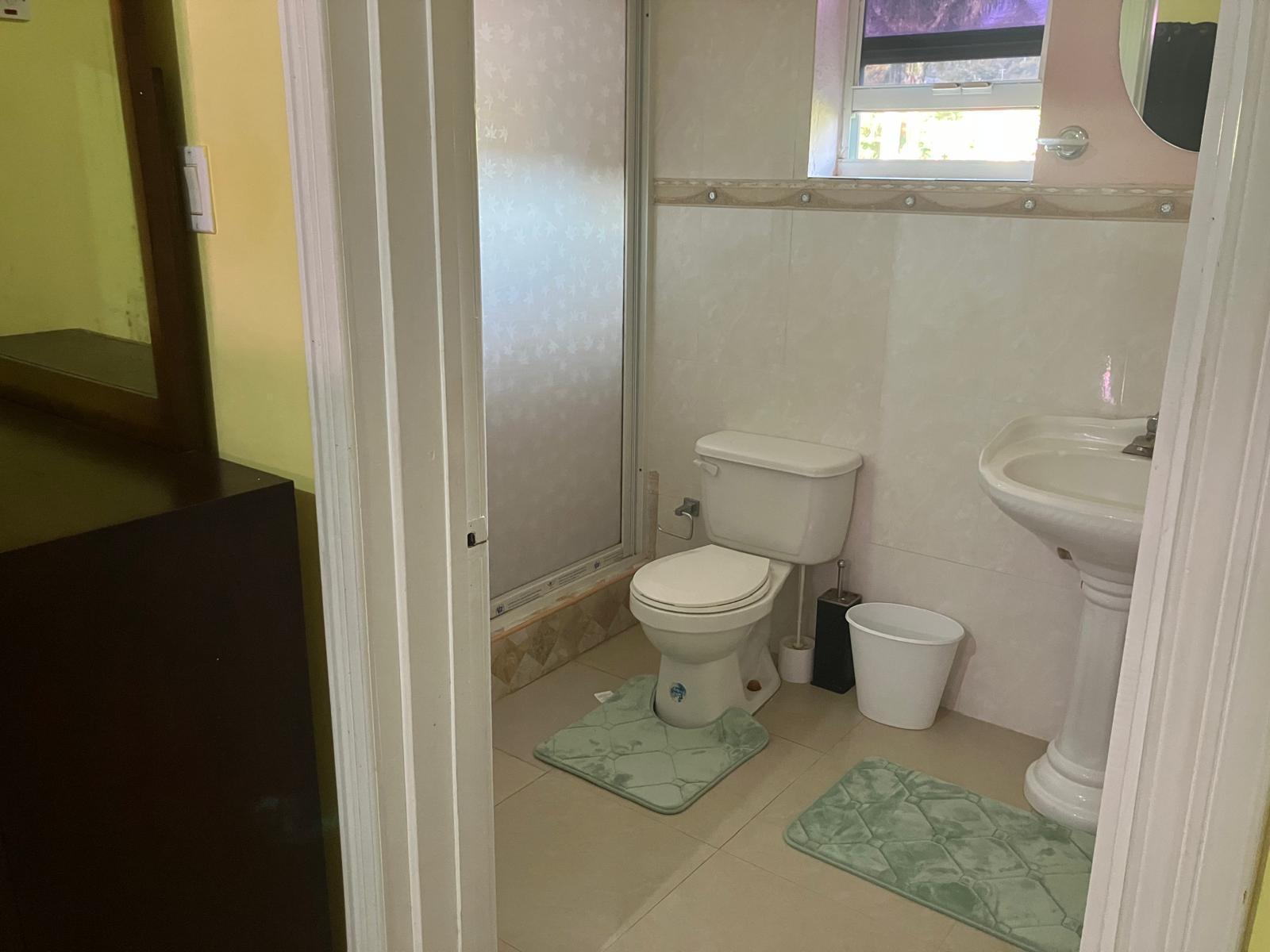 Palm-Grove-Apartments-for-Rent-in-Cinnamon-Hill-Jamaica Eleventh image of A205- Palm Close in Little River, St. James, Jamaica - property is For Rent