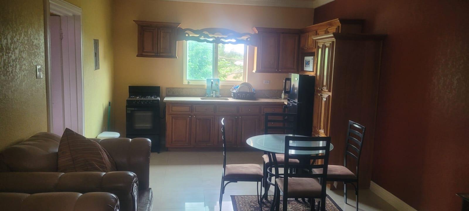 Palm-Grove-Apartments-for-Rent-in-Cinnamon-Hill-Jamaica Seventh image of A205- Palm Close in Little River, St. James, Jamaica - property is For Rent