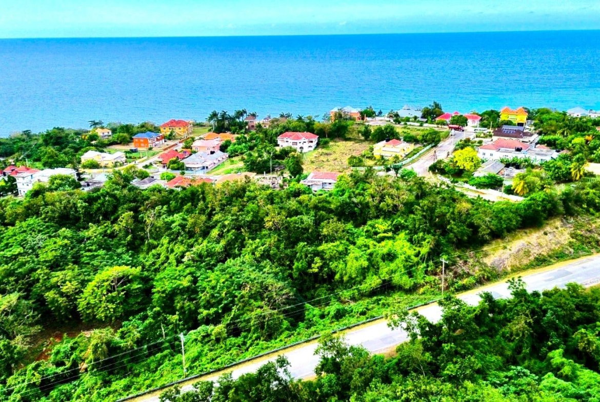 Thirteenth image of Pedro, Bull's Bay in Lucea, Hanover, Jamaica - property is For Sale