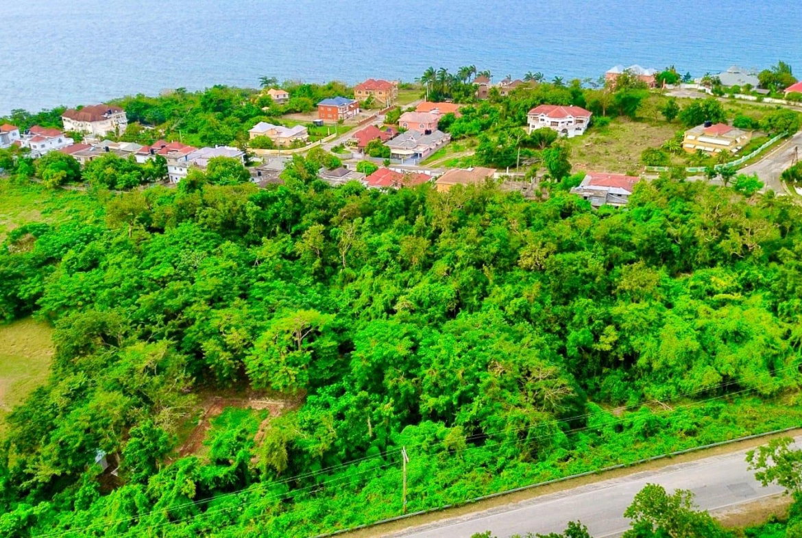 Seventeenth image of Pedro, Bull's Bay in Lucea, Hanover, Jamaica - property is For Sale
