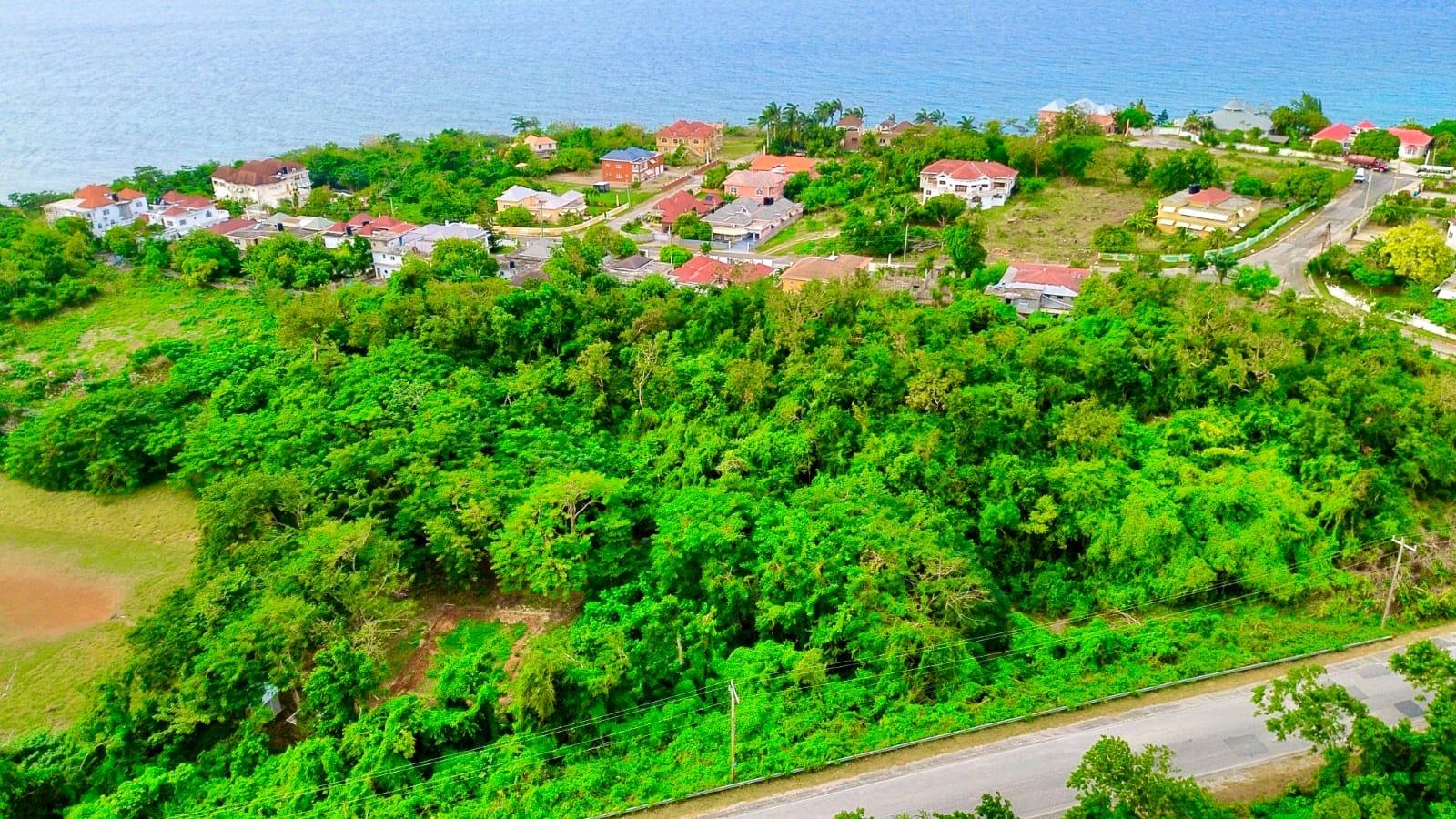Prime-0.26-Acre-Residential-Lot-for-Sale-in-Pedro-Lucea Seventeenth image of Pedro, Bull's Bay in Lucea, Hanover, Jamaica - property is For Sale