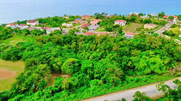 Seventeenth image of Pedro, Bull's Bay in Lucea, Hanover, Jamaica - property is For Sale