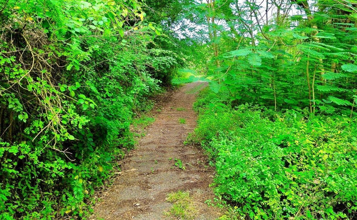 Fourth image of Pedro, Bull's Bay in Lucea, Hanover, Jamaica - property is For Sale