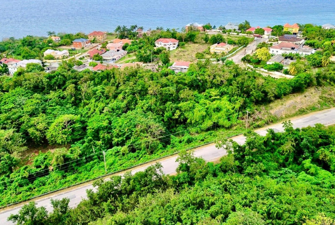 Ninth image of Pedro, Bull's Bay in Lucea, Hanover, Jamaica - property is For Sale