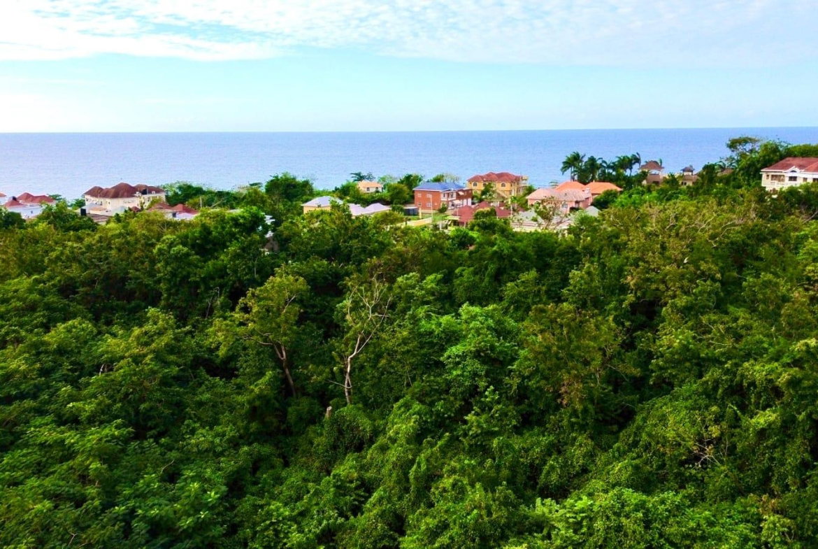 Tenth image of Pedro, Bull's Bay in Lucea, Hanover, Jamaica - property is For Sale