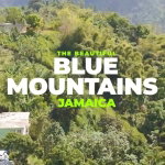 First image of New Gardens, Blue Mountai in Stony Hill P.O., St. Andrew, Jamaica - property is For Sale