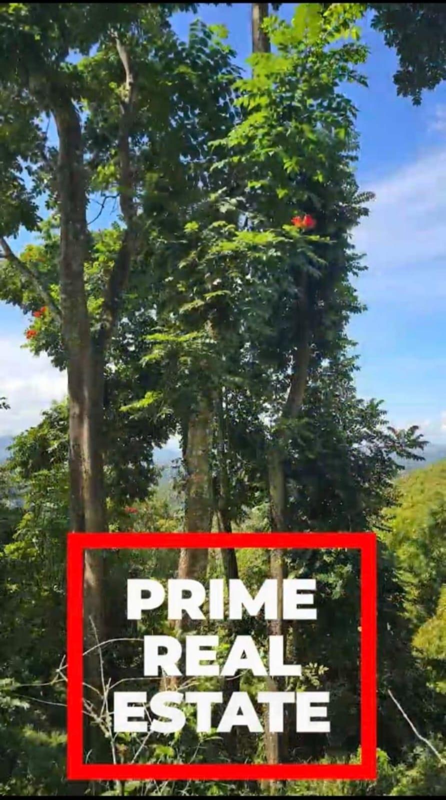 Sixth image of New Gardens, Blue Mountai in Stony Hill P.O., St. Andrew, Jamaica - property is For Sale
