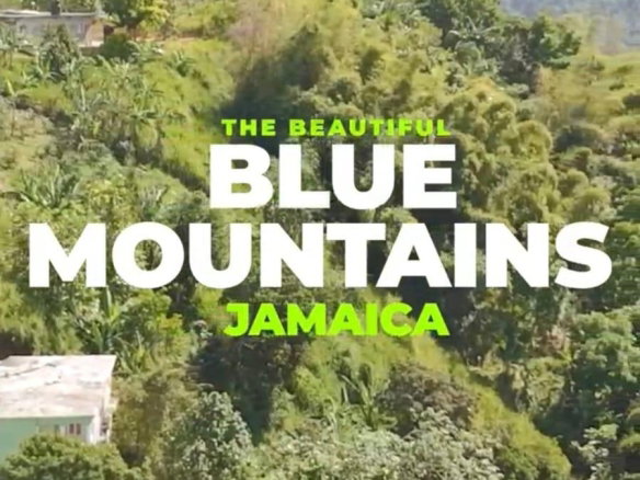 First image of New Gardens, Blue Mountai in Stony Hill P.O., St. Andrew, Jamaica - property is For Sale