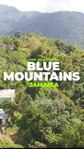 First image of New Gardens, Blue Mountai in Stony Hill P.O., St. Andrew, Jamaica - property is For Sale