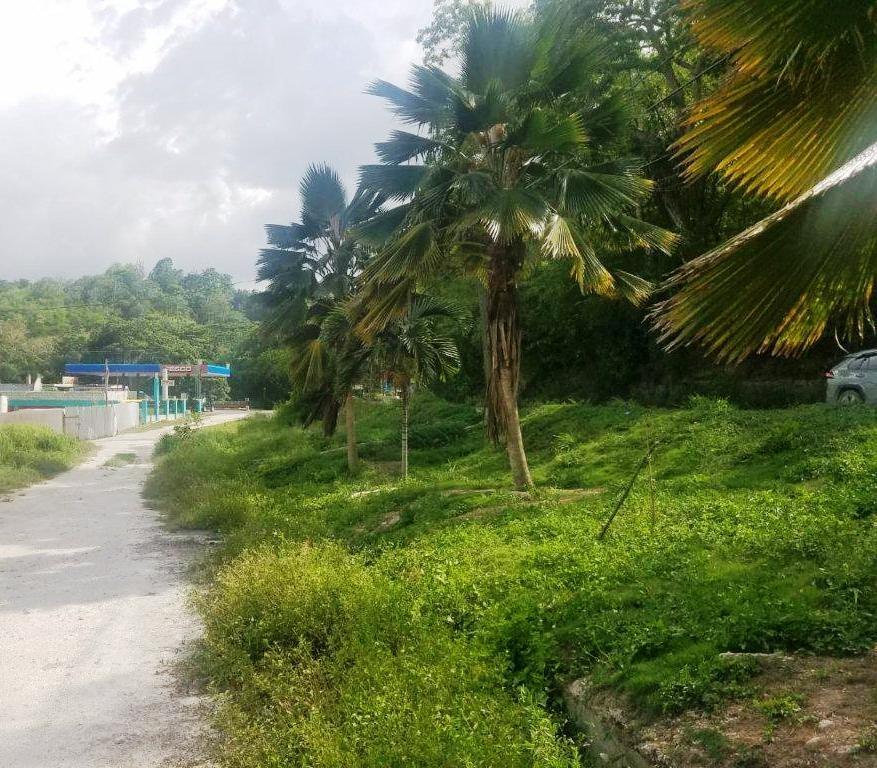 Third image of 7 Porto Bello Heights in Porto Bello Heights, St. James, Jamaica - property is For Rent