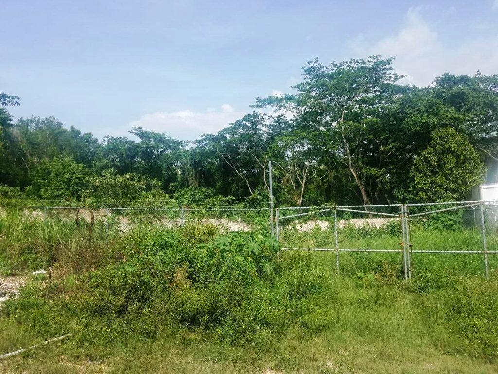 Fourth image of 7 Porto Bello Heights in Porto Bello Heights, St. James, Jamaica - property is For Rent