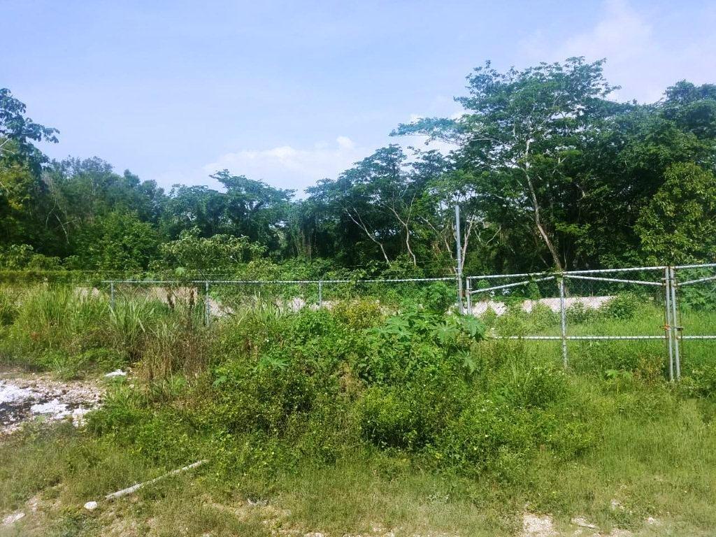 Fifth image of 7 Porto Bello Heights in Porto Bello Heights, St. James, Jamaica - property is For Rent