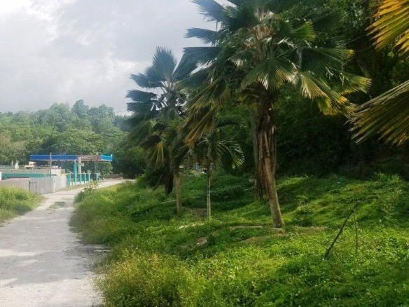 First image of 7 Porto Bello Heights in Porto Bello Heights, St. James, Jamaica - property is For Rent