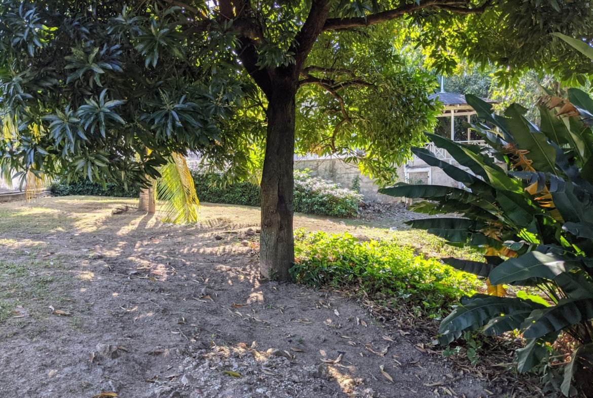 Fifth image of 31 Norbrook Road in Kingston 8, St. Andrew, Jamaica - property is For Sale