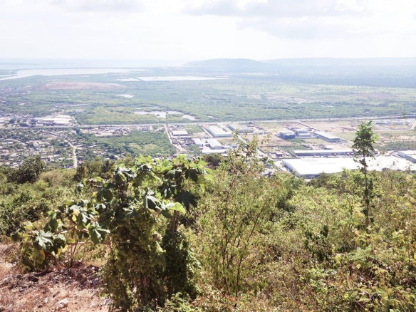 First image of 296a Cragstone Drive, Plantati in Kingston 19, St. Andrew, Jamaica - property is For Sale