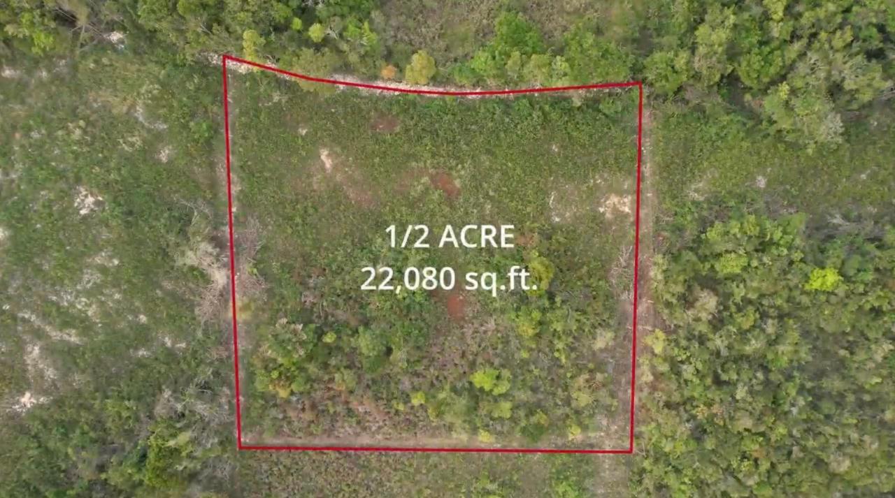 Third image of Lot 4 Bellevue Top Hill, St. el in Top Hill, St. Elizabeth, Jamaica - property is For Sale