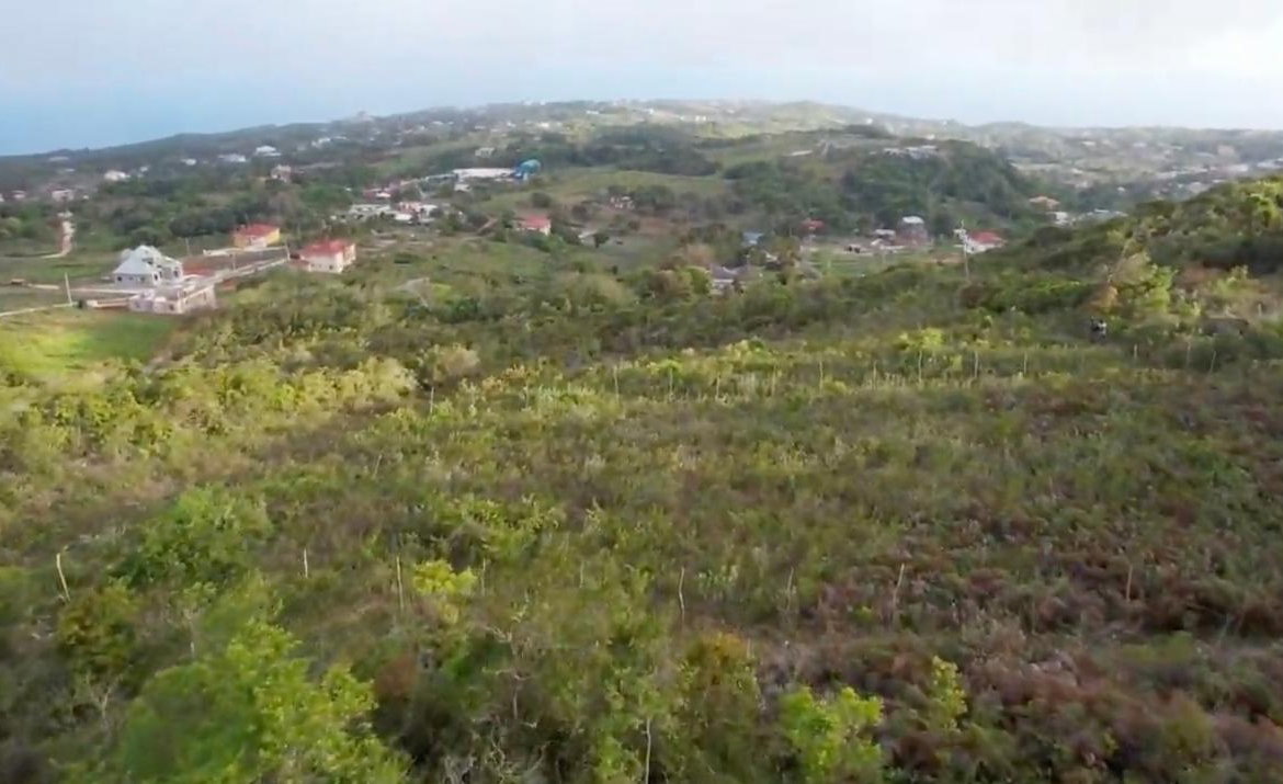 Fifth image of Lot 4 Bellevue Top Hill, St. el in Top Hill, St. Elizabeth, Jamaica - property is For Sale