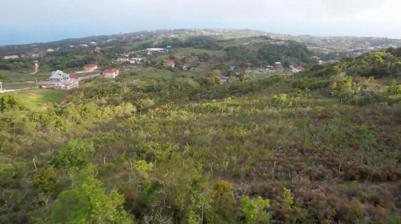 Fifth image of Lot 4 Bellevue Top Hill, St. el in Top Hill, St. Elizabeth, Jamaica - property is For Sale