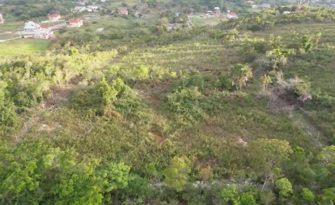 Sixth image of Lot 4 Bellevue Top Hill, St. el in Top Hill, St. Elizabeth, Jamaica - property is For Sale