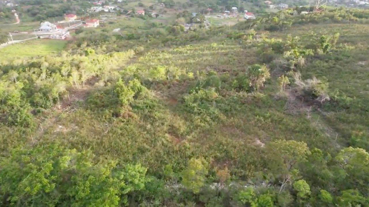 Sixth image of Lot 4 Bellevue Top Hill, St. el in Top Hill, St. Elizabeth, Jamaica - property is For Sale