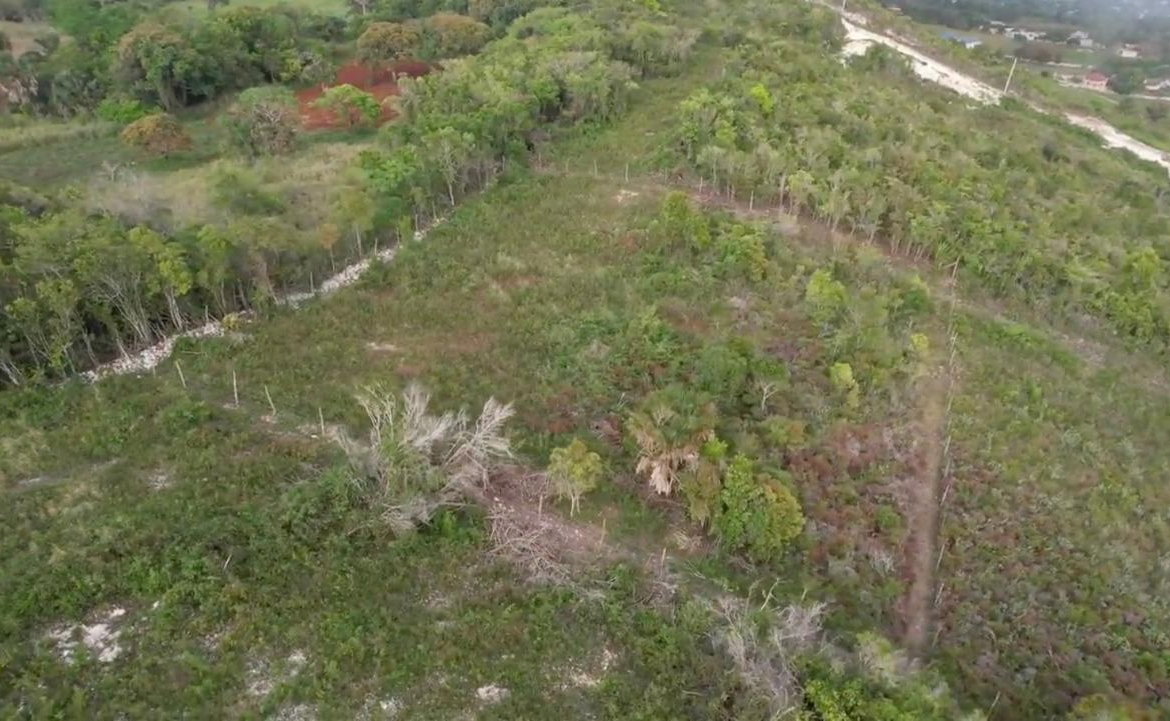 Seventh image of Lot 4 Bellevue Top Hill, St. el in Top Hill, St. Elizabeth, Jamaica - property is For Sale