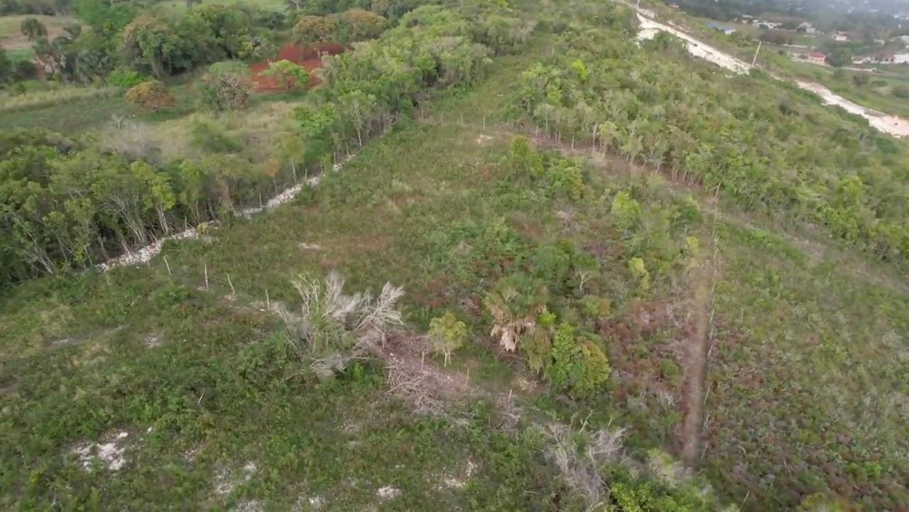 Seventh image of Lot 4 Bellevue Top Hill, St. el in Top Hill, St. Elizabeth, Jamaica - property is For Sale
