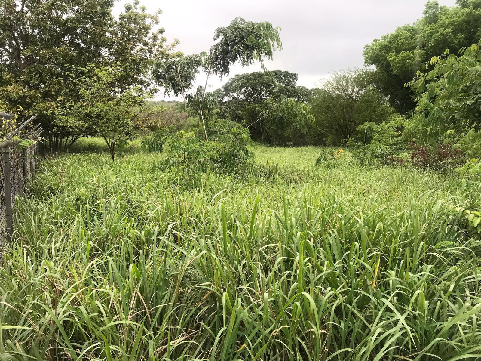 Sixth image of Sea Air in Watson Hill, Manchester, Jamaica - property is For Sale