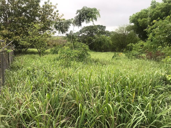 Sixth image of Sea Air in Watson Hill, Manchester, Jamaica - property is For Sale