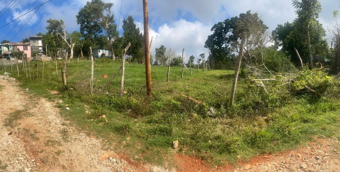 Second image of Lot 2- Albion , Mandeville, Manc in Knockpatrick, Manchester, Jamaica - property is For Sale
