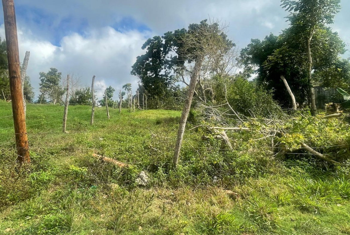 First image of Lot 2- Albion , Mandeville, Manc in Knockpatrick, Manchester, Jamaica - property is For Sale