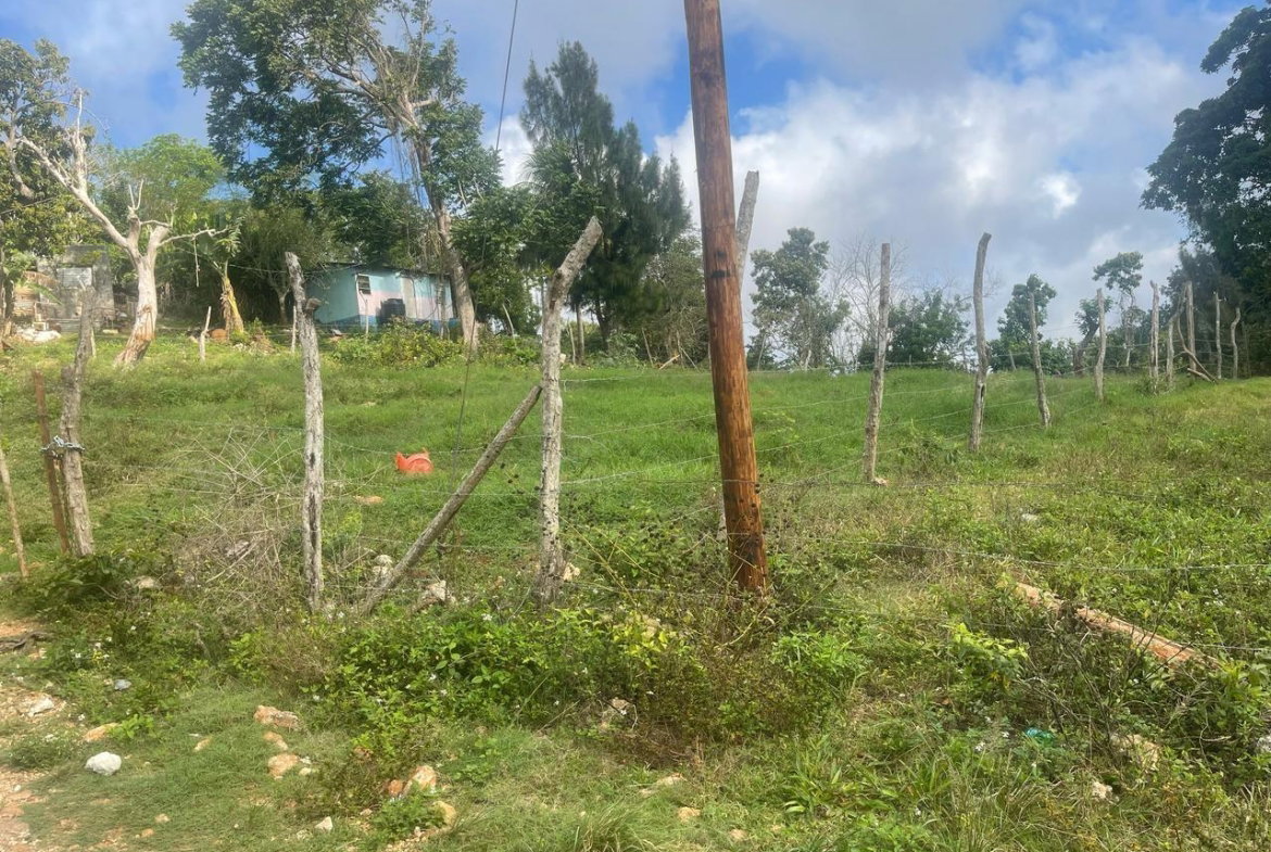Third image of Lot 2- Albion , Mandeville, Manc in Knockpatrick, Manchester, Jamaica - property is For Sale
