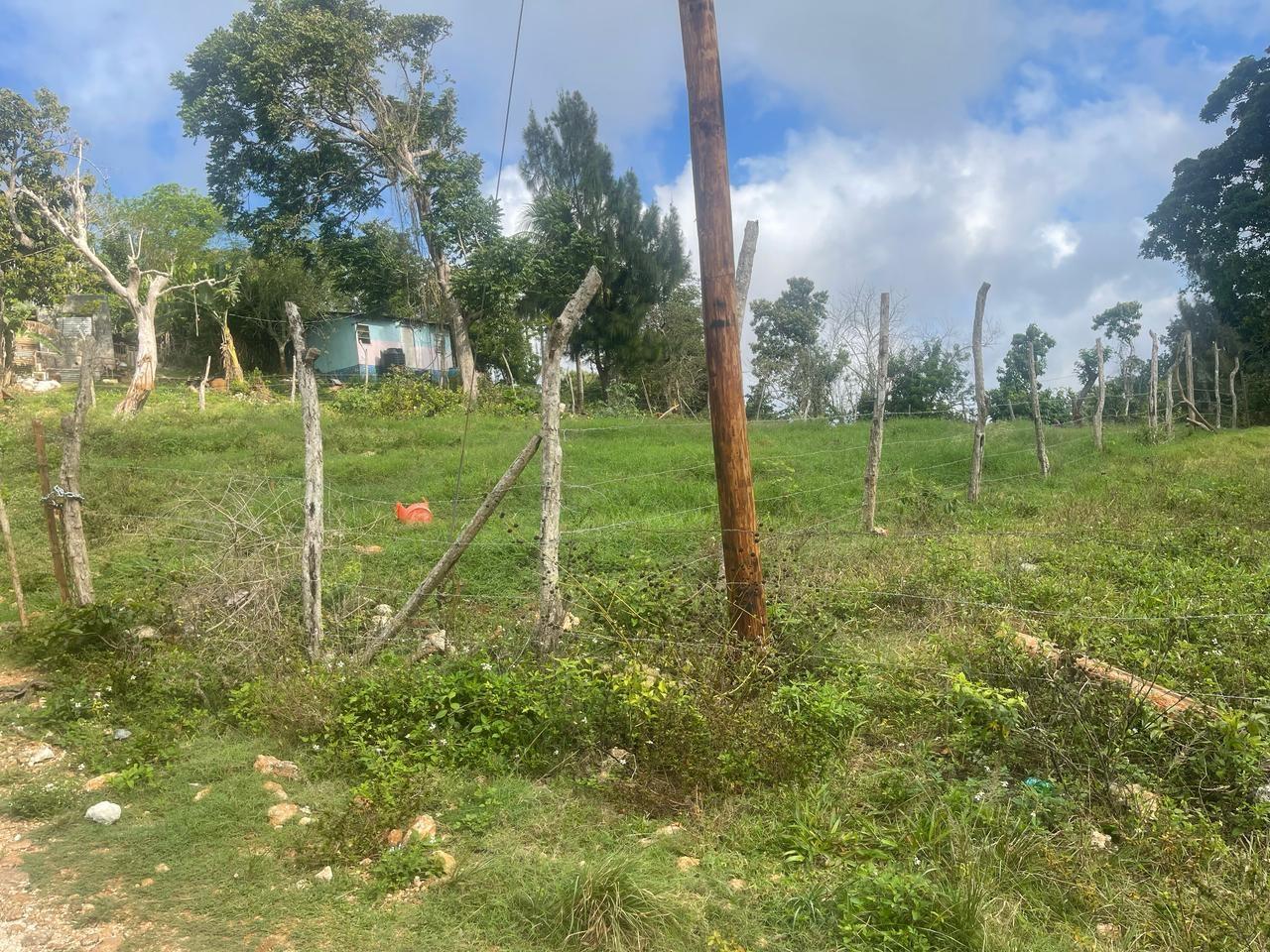 Prime-Residential-Lot-for-Sale-in-Albion-Mandeville-7868-Sq-Ft Third image of Lot 2- Albion , Mandeville, Manc in Knockpatrick, Manchester, Jamaica - property is For Sale