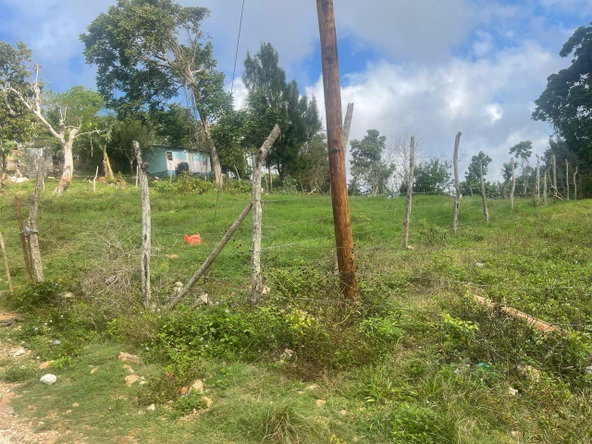 Third image of Lot 2- Albion , Mandeville, Manc in Knockpatrick, Manchester, Jamaica - property is For Sale