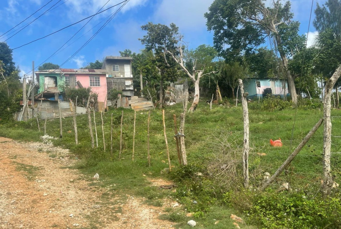 Fourth image of Lot 2- Albion , Mandeville, Manc in Knockpatrick, Manchester, Jamaica - property is For Sale