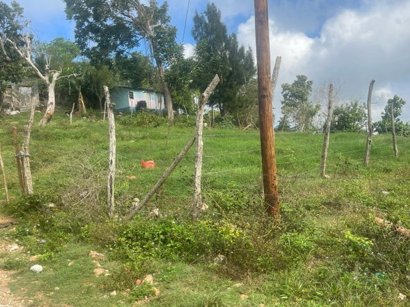 Fifth image of Lot 2- Albion , Mandeville, Manc in Knockpatrick, Manchester, Jamaica - property is For Sale