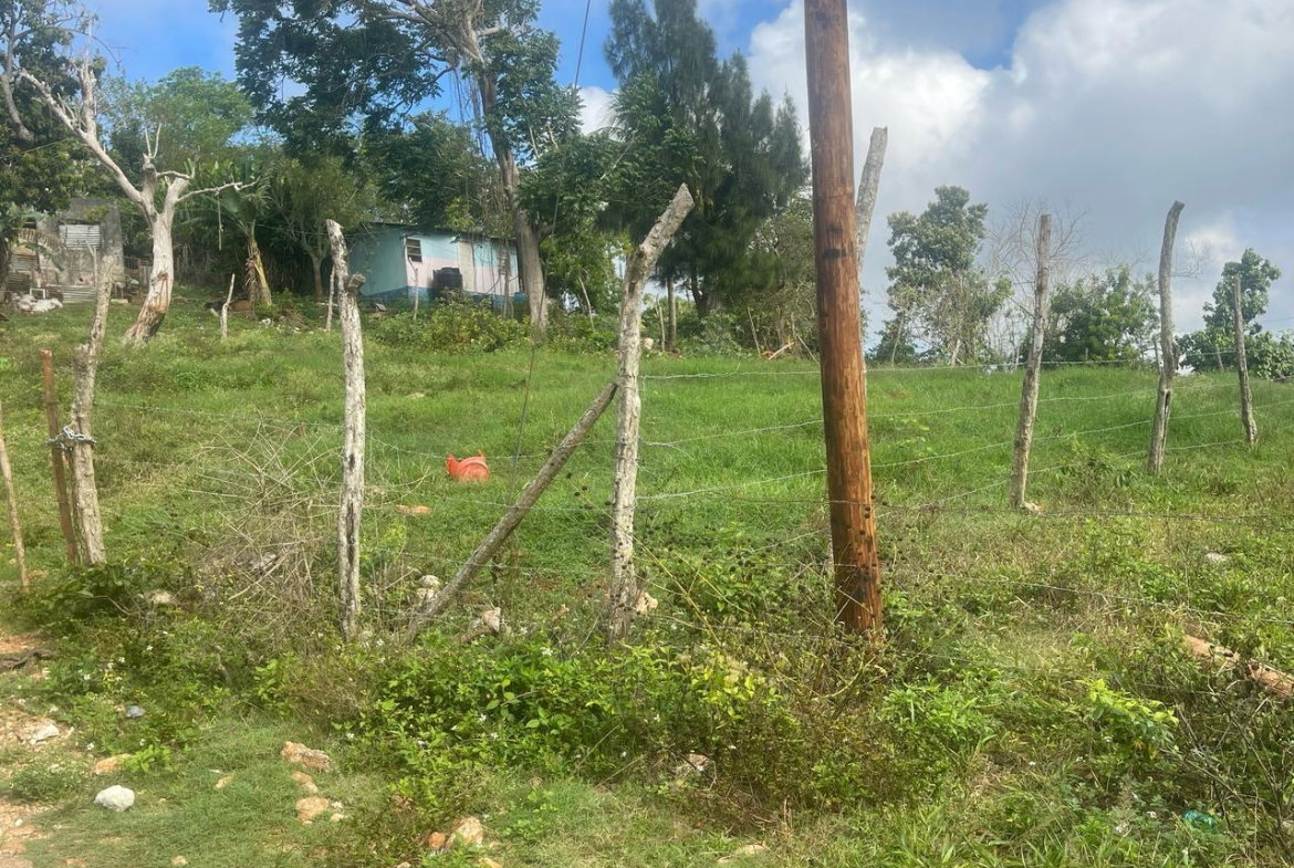 Sixth image of Lot 2- Albion , Mandeville, Manc in Knockpatrick, Manchester, Jamaica - property is For Sale