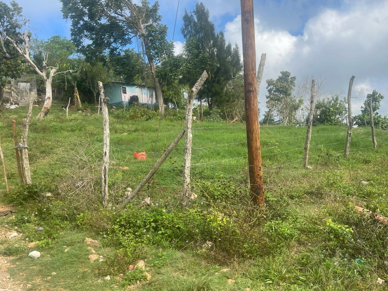 Prime-Residential-Lot-for-Sale-in-Albion-Mandeville-7868-Sq-Ft Sixth image of Lot 2- Albion , Mandeville, Manc in Knockpatrick, Manchester, Jamaica - property is For Sale