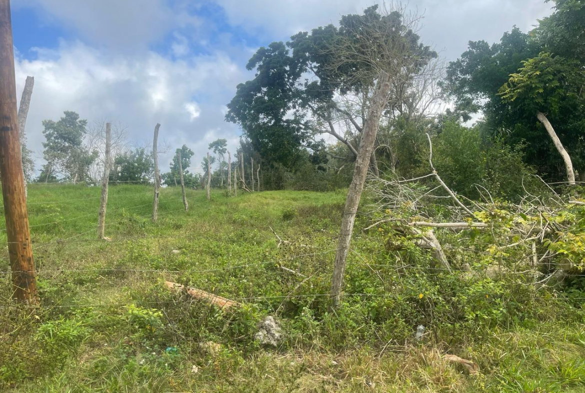 Seventh image of Lot 2- Albion , Mandeville, Manc in Knockpatrick, Manchester, Jamaica - property is For Sale