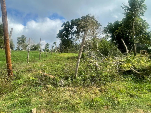 First image of Lot 2- Albion , Mandeville, Manc in Knockpatrick, Manchester, Jamaica - property is For Sale