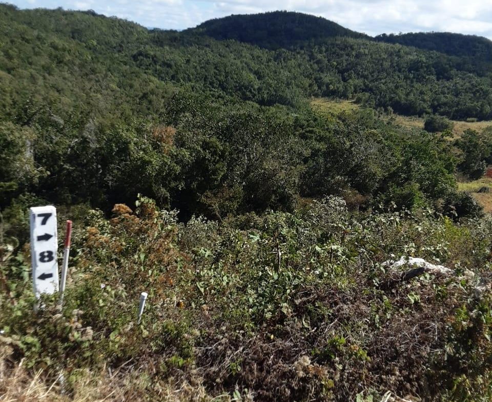 Fourth image of Lot 7 Chevely Estates in Spur Tree, Manchester, Jamaica - property is For Sale