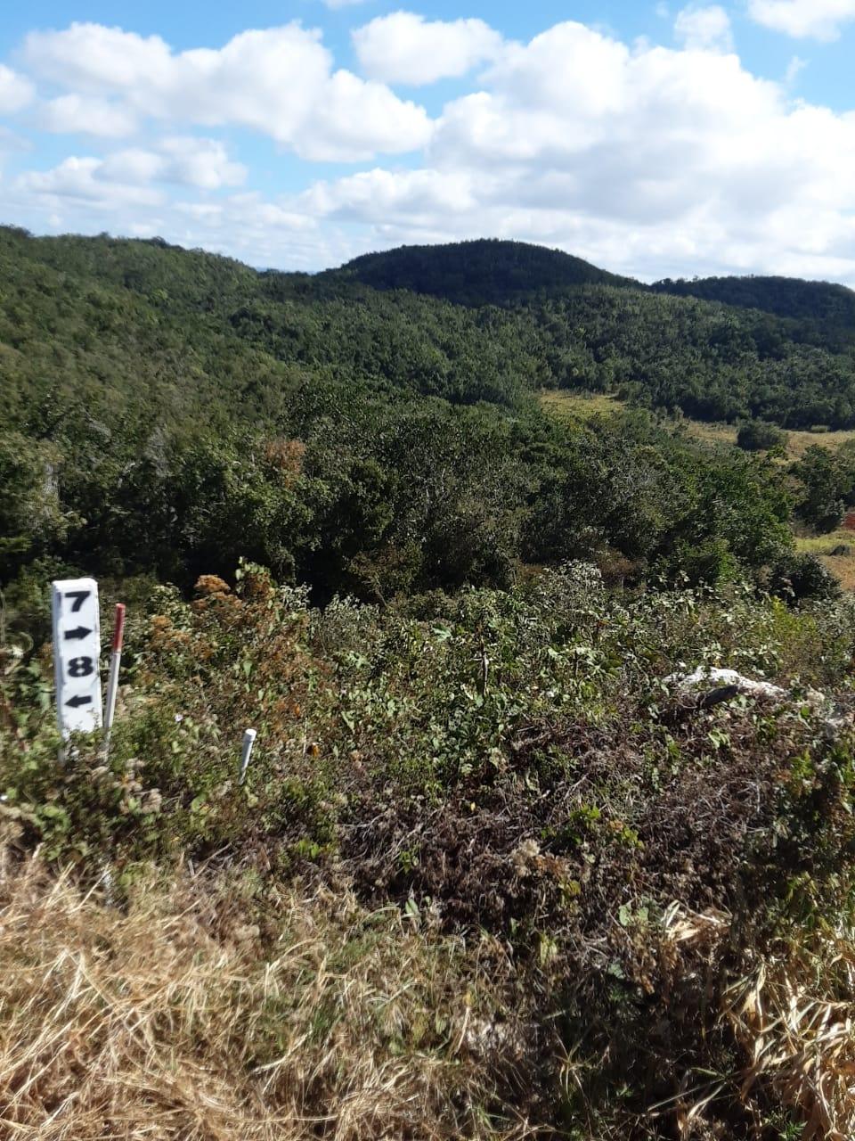 Prime-Residential-Lot-for-Sale-in-Chevely-Estates-Jamaica Fourth image of Lot 7 Chevely Estates in Spur Tree, Manchester, Jamaica - property is For Sale