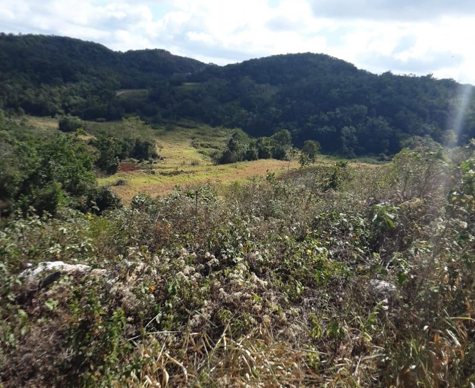 Sixth image of Lot 7 Chevely Estates in Spur Tree, Manchester, Jamaica - property is For Sale