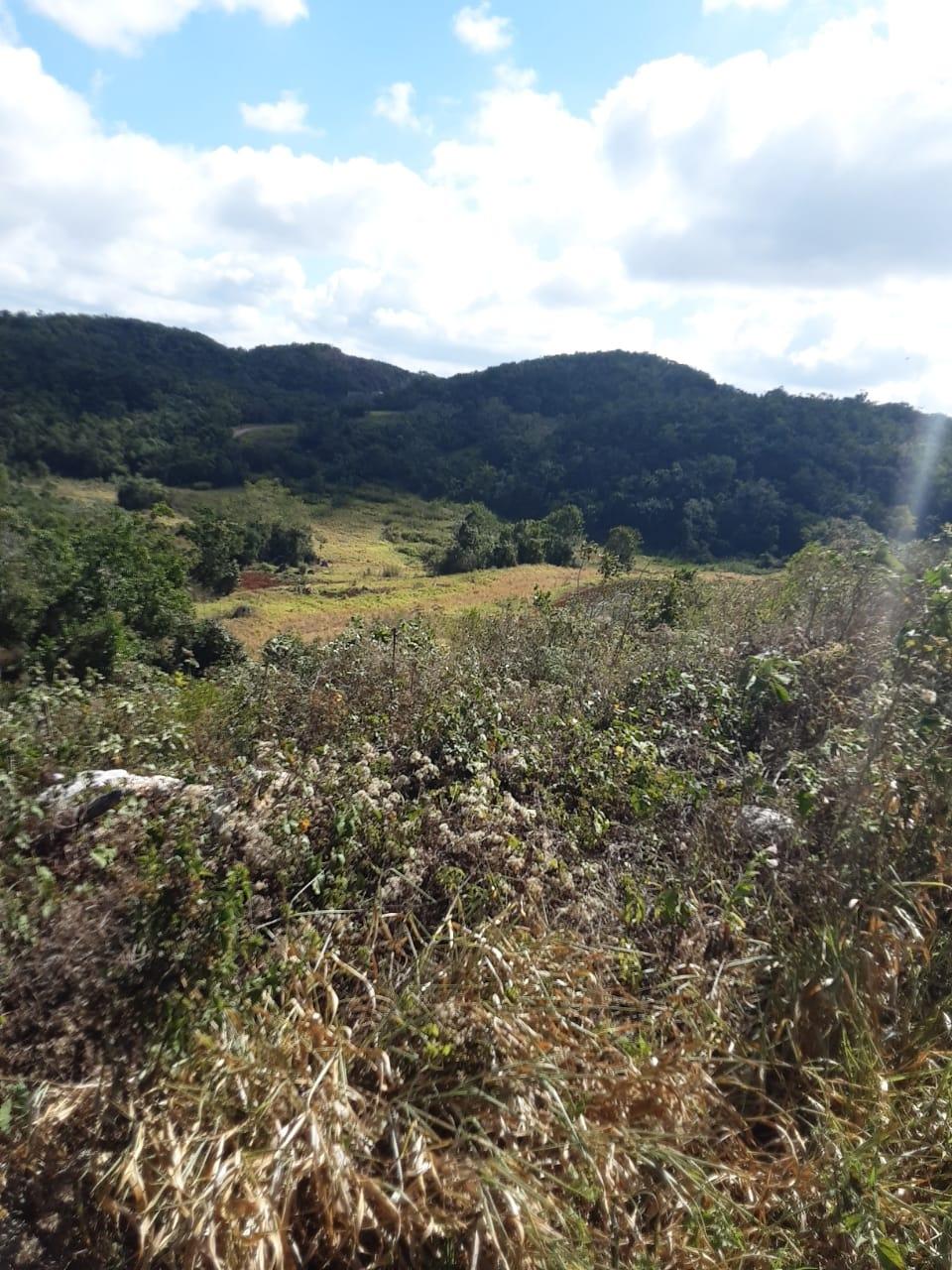Prime-Residential-Lot-for-Sale-in-Chevely-Estates-Jamaica Sixth image of Lot 7 Chevely Estates in Spur Tree, Manchester, Jamaica - property is For Sale