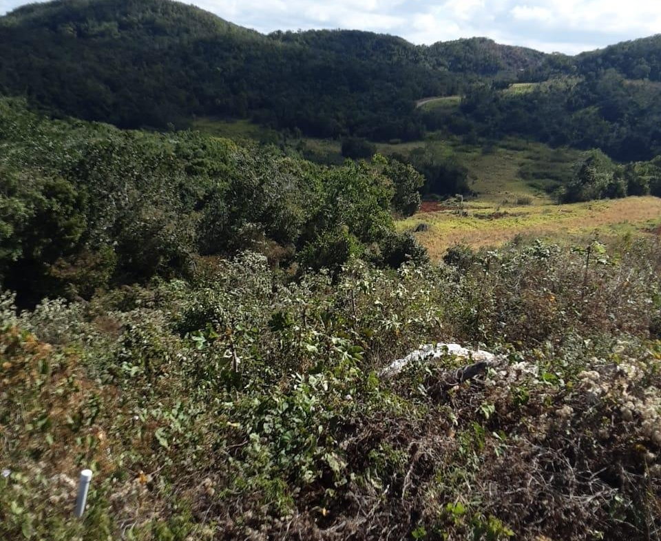 Seventh image of Lot 7 Chevely Estates in Spur Tree, Manchester, Jamaica - property is For Sale