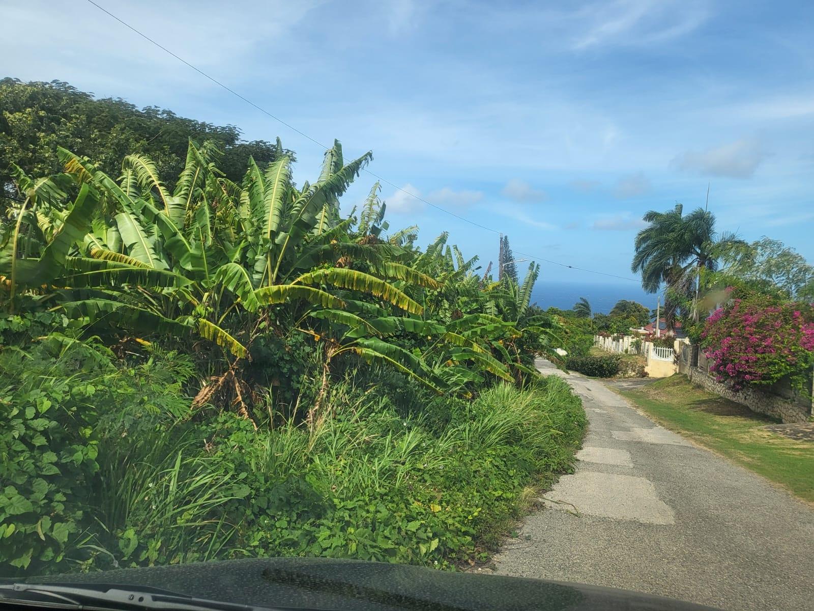 Second image of 193 Torado Heights, St. James in Little River, St. James, Jamaica - property is For Sale